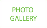 Photo Gallery