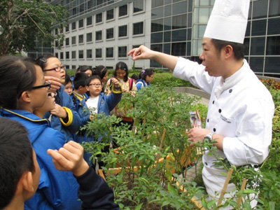 Use of Recycled and Recyclable Materials in Hotel Items