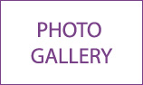 Photo Gallery